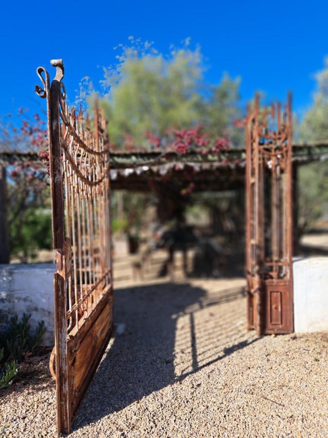 Koringberg Olive Grove Cottage מראה חיצוני תמונה