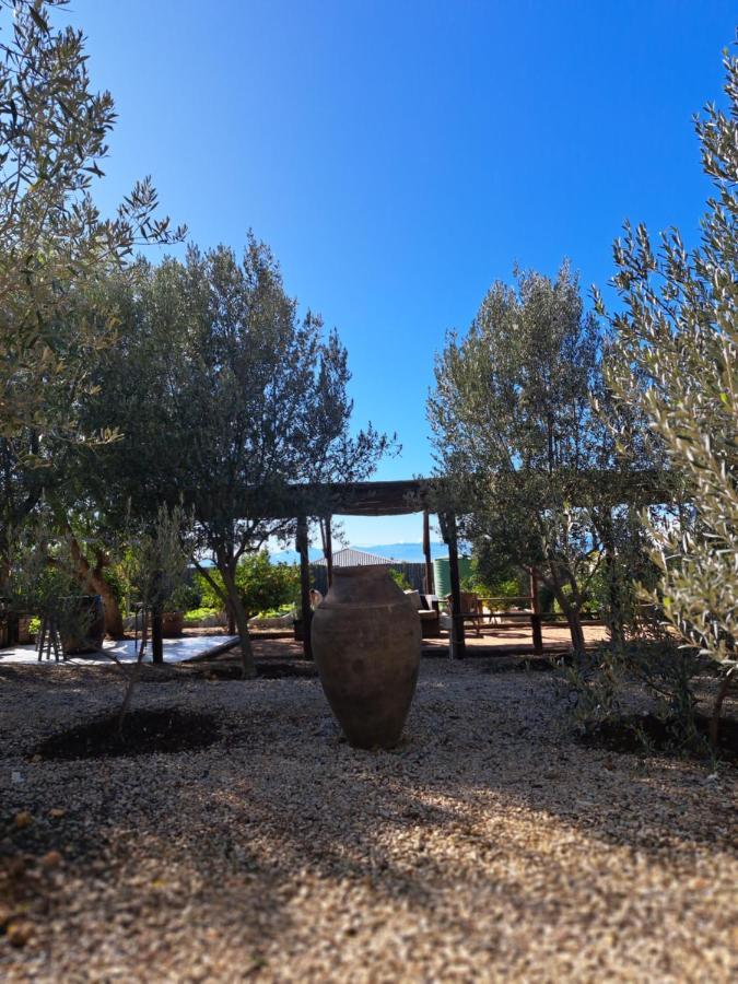 Koringberg Olive Grove Cottage מראה חיצוני תמונה